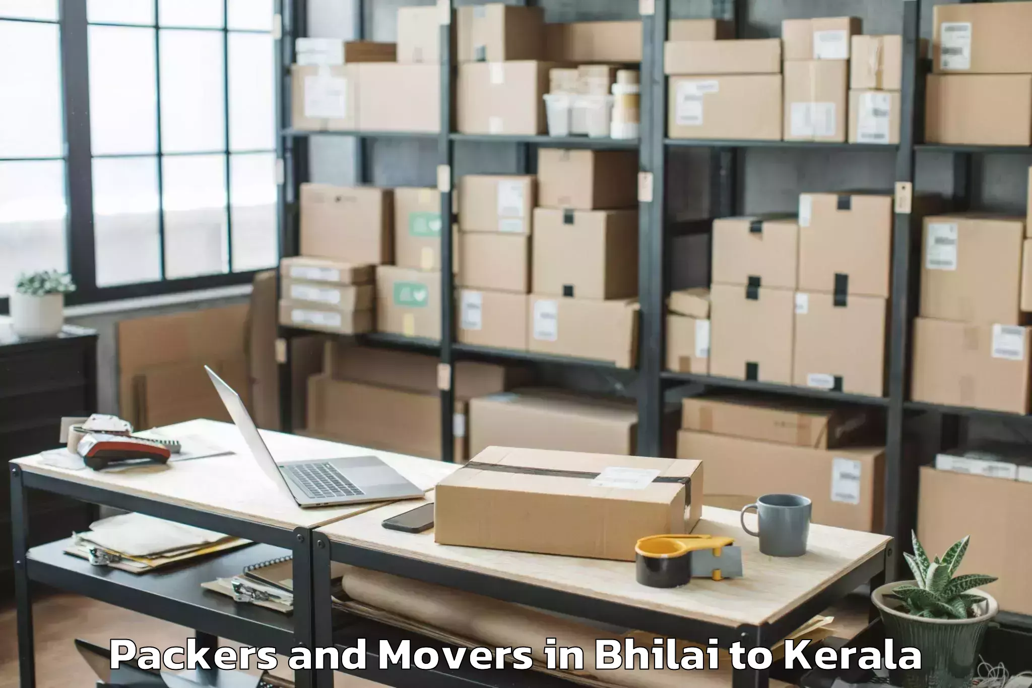 Professional Bhilai to Triprayar Packers And Movers